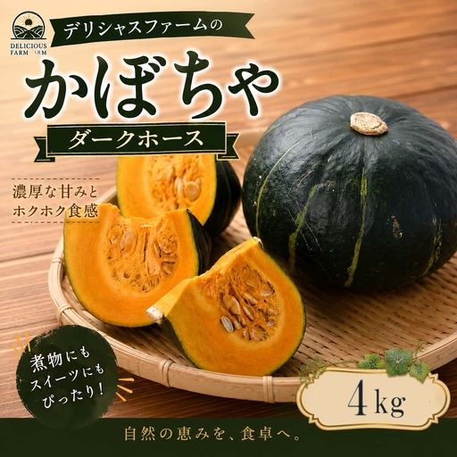 かぼちゃ 【デリシャスファームのかぼちゃ】ダークホース 4キロ ※6月頃より順次発送予定 / 産地直送 カボチャ 南瓜 【delf035】