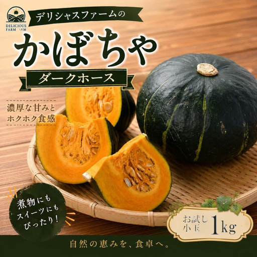 かぼちゃ 【デリシャスファームのかぼちゃ】ダークホース お試し小玉1キロ ※6月頃より順次発送予定 / 産地直送 カボチャ 南瓜 【delf051】
