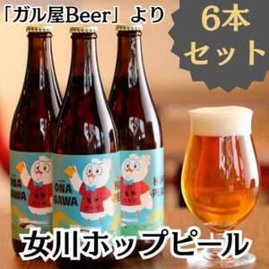 女川ホップピール(発泡酒)6本セット　宮城 500ml 瓶【配送不可地域：離島】【1384252】