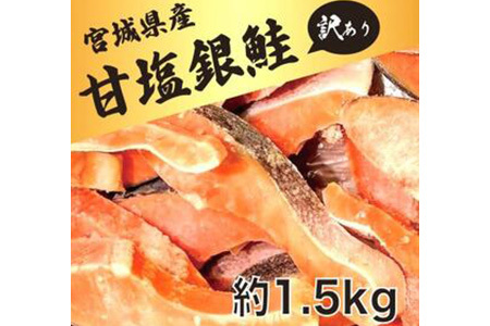 󂠂@@{錧Y@É@ؐg@1.5kg@Y@/@{錧@쒬yzsnFzy1525306z