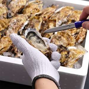 kty@IWiuhuPICX^[v@1yzsnFEꌧEBzy1303708z