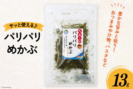 ߂  pp߂ 13g [O񂳂}VF {錧 O m304amh600099]