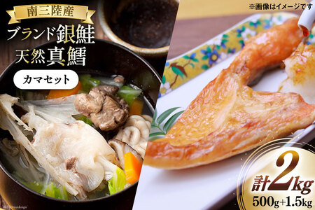  500g ^L 1.5kg J} Zbg v 2kg [O񂳂}VF {錧 O 30ai0054] lߍ킹 CN      TP VP L ^   Ⓚ ܂ `