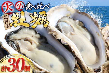 yԌ蔭z kt y v30 2(OWICX^[  OMAKI ) Hה Zbg e15 yiCtt [Geoyst {錧 O m304bdz670000]