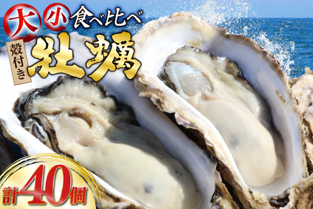 yԌ蔭z kt y v40 2(OWICX^[  OMAKI ) Hה Zbg e20 yiCtt [Geoyst {錧 O m304bdz670001]