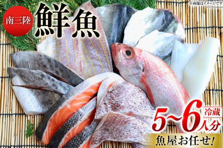 鮮魚 詰め合わせ 魚屋お任せ！南三陸お楽しみ鮮魚 セット 5～6人分 [さかなのみうら 宮城県 南三陸町 30aj0002] 魚 タコ 牡蠣 ほや ホタテ 塩辛 佃煮 切り身