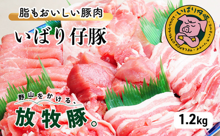 シェフもおすすめ「日本で一番おいしい豚肉！」★いばり仔豚★4種の部位・各300g＜ロース・バラ・もも・カタ＞詰め合わせ♪フレッシュ豚肉しゃぶしゃぶ1.2kgコース