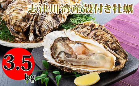 南三陸志津川産の殻付き牡蠣3.5kg(1kgあたり6〜9個)