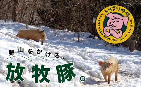 [定期便 3か月連続]シェフもおすすめ「日本で一番おいしい豚肉!」★いばり仔豚★4種の部位[ロース・バラ・もも・カタスライス各250g]詰め合わせ♪フレッシュ豚肉1kgコース
