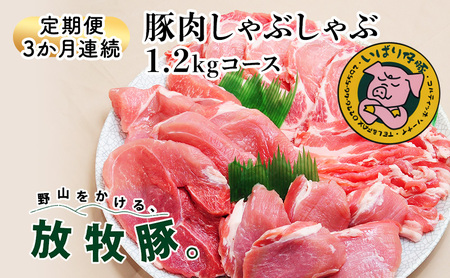 [定期便 3か月連続]シェフもおすすめ「日本で一番おいしい豚肉!」★いばり仔豚★4種の部位・各300g[ロース・バラ・もも・カタ]詰め合わせ♪フレッシュ豚肉しゃぶしゃぶ1.2kgコース