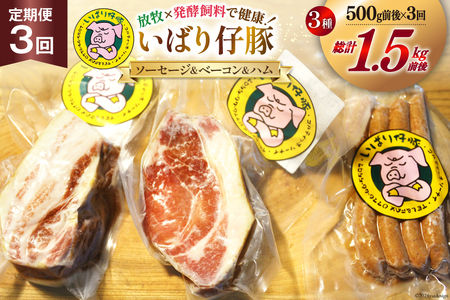 [定期便 3か月連続]シェフもおすすめ「日本で一番おいしい豚肉!」★いばり仔豚★ソーセージ&ベーコン&ハム詰め合わせコース