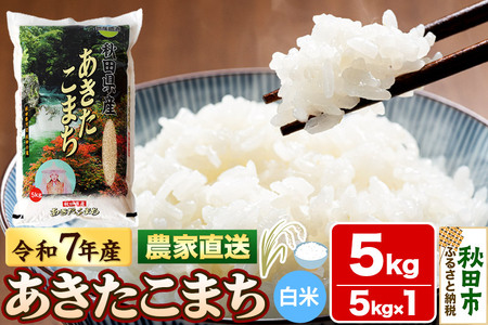  ܂ 5kg ߘa7NY V  cX _ƒ HcY