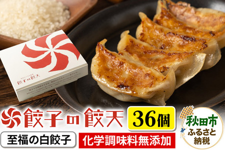 至福の白餃子 36個詰合せ 餃子の餃天 化学調味料無添加