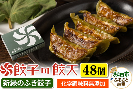新緑のふき餃子 48個詰合せ 餃子の餃天 化学調味料無添加