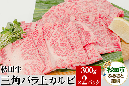 HcOpoJr 300g×2pbN