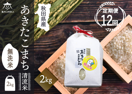 s12t܂  2kg yāzHcsYaY