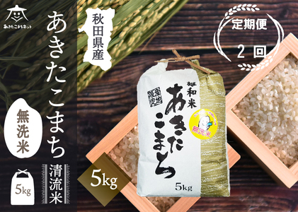 s2t܂  5kg yāzHcsYaY