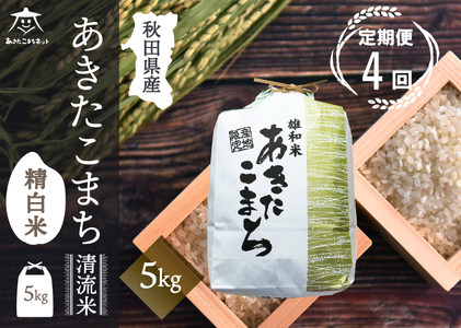 s4t܂  5kgyāz HcsYaY