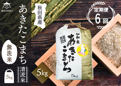 s6t܂ 5kg yāzHcsYaY