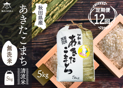 s12t܂  5kg yāzHcsYaY