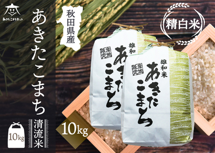 ܂  10kg(5kg×2)yāz HcsYaY