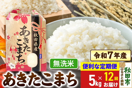 s12t ܂ 5kg ߘa7NY yāzHcY