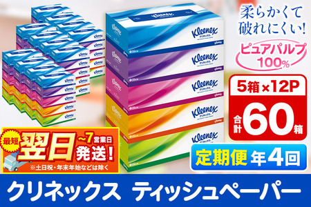 《3ヶ月ごとに4回お届け》定期便 ティッシュ クリネックス ティシュー 5箱×12パック 最短翌日発送
