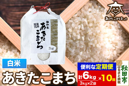 s10t܂  6kg(3kg×2)yāz HcsYaY