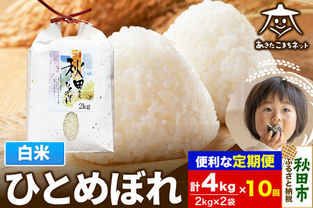 s10tЂƂ߂ڂ 4kg(2kg×2)yāz HcsY