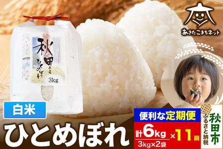 s11tЂƂ߂ڂ 6kg(3kg×2) yāz HcsY