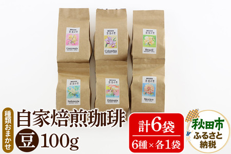 自家焙煎珈琲 豆 100g×おまかせ6種セット 計600g