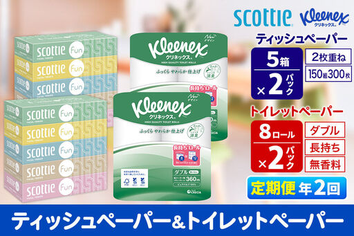 《6ヶ月ごとに2回お届け》定期便 クリネックス トイレットペーパー 長持ちロール ダブル 8ロール×2パック ＆ ティッシュペーパー スコッティ ファン 150組 5箱×2パック 秋田市オリジナル 新生活