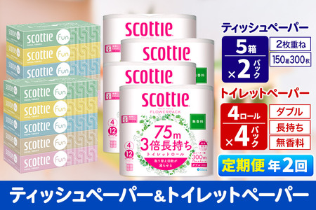 [6ヶ月ごとに2回お届け]定期便 ティッシュペーパー スコッティ ファン 150組 5箱×2パック & スコッティトイレットペーパー ダブル 無香料 3倍長持ち4ロール×4パック 秋田市オリジナル