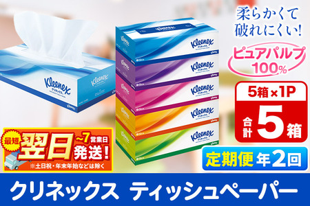 [6ヶ月ごとに2回お届け]定期便 ティッシュペーパー クリネックス ティシュー 5箱×1パック 秋田市オリジナル 最短翌日発送