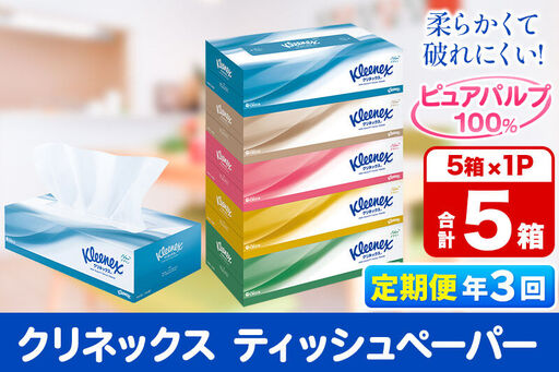 《4ヶ月ごとに3回お届け》定期便 ティッシュペーパー クリネックス ティシュー 5箱×1パック 秋田市オリジナル