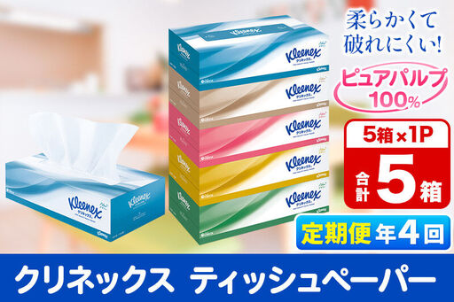 《3ヶ月ごとに4回お届け》定期便 ティッシュペーパー クリネックス ティシュー 5箱×1パック 秋田市オリジナル