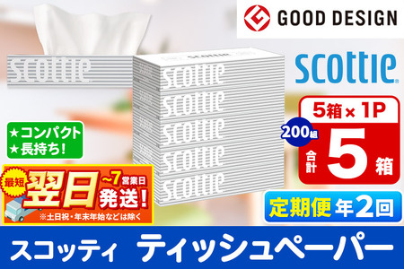 [6ヶ月ごとに2回お届け]定期便 ティッシュペーパー スコッティ ティシュー 5箱×1パック 秋田市オリジナル 最短翌日発送