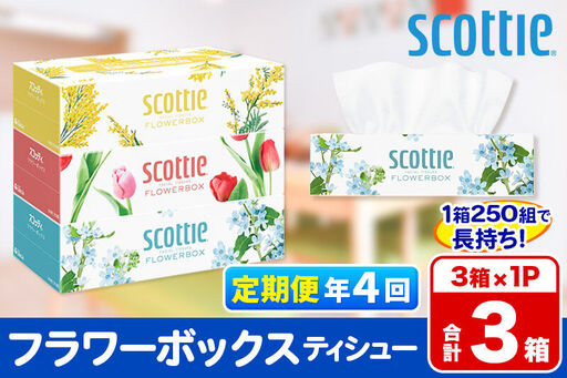 《3ヶ月ごとに4回お届け》定期便 ティッシュペーパー スコッティ ティシュー フラワーボックス 250組 3箱パック×1パック 秋田市オリジナル