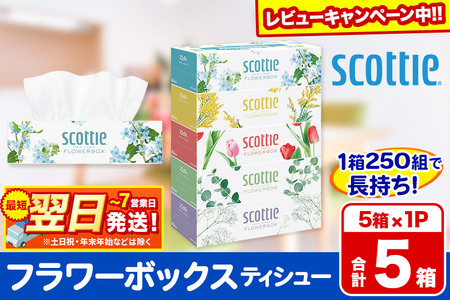 スコッティ ティッシュペーパー フラワーボックス 5箱×1パック[レビューキャンペーン中] 秋田市オリジナル