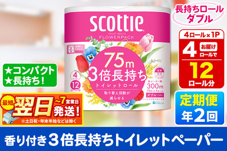 [6ヶ月ごとに2回お届け]定期便 スコッティ フラワーパック 3倍長持ち 4ロール(ダブル)×1パック 秋田市オリジナル 最短翌日発送