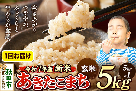 [令和7年産 新米先行受付] 米 あきたこまち 5kg [玄米] 秋田県産