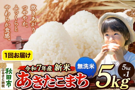 [令和7年産 新米先行受付] 米 あきたこまち 5kg [無洗米] 秋田県産