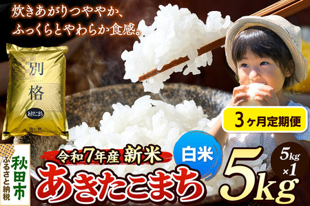 sߘa7NY Vāts3t  ܂ 5kg yāz HcY