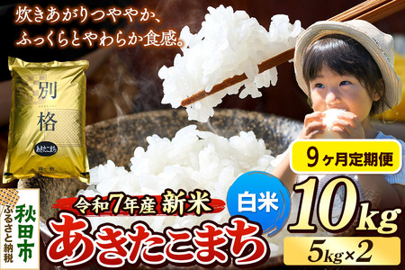 sߘa7NY Vāts9t  ܂ 10kgi5kg×2܁j yāz HcY