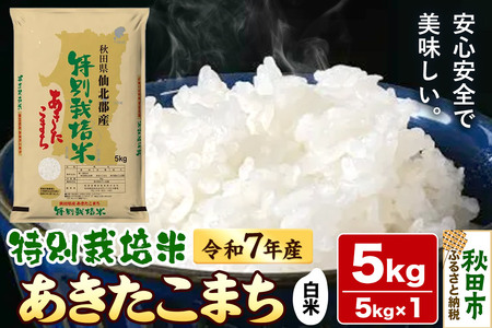 ߘa7NY HcYʍ͔|܂ 5kg