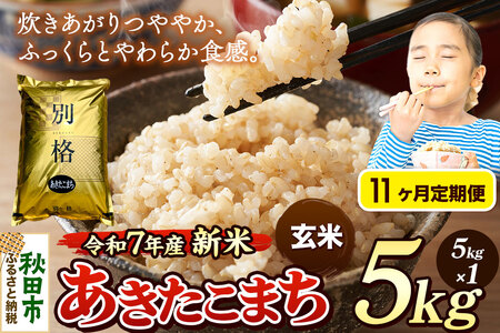 sߘa7NY Vāts11t  ܂ 5kg yāz HcY