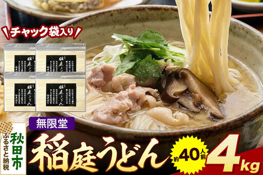 無限堂 稲庭うどん チャック袋入り 4kg（約40人前） 秋田