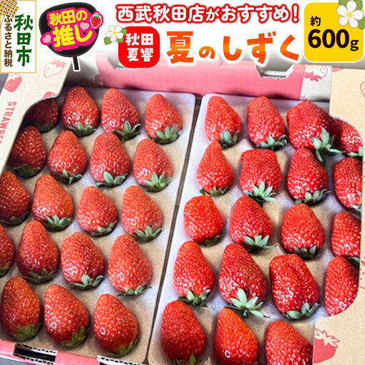 西武秋田店がおすすめする秋田の推し 秋田県産 いちご「秋田夏響」 なつひびき 約600g[先行受付]「夏のしずく」のブランド