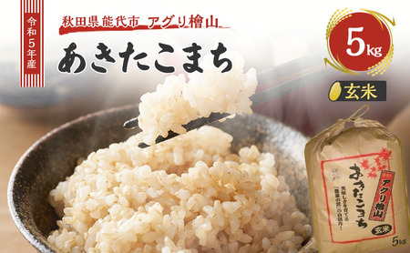 [玄米]秋田県産 あきたこまち 5kg アグリ檜山米 令和5年産