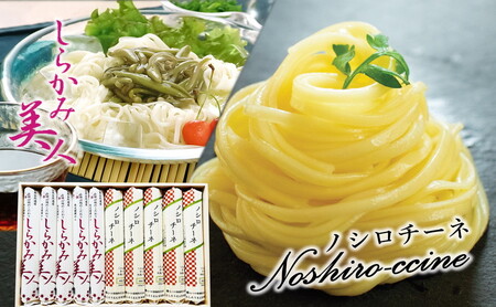 能代うどん 和風パスタ 食べ比べ 乾麺 2種 詰合せ 「しらかみ美人」「ノシロチーネ」各5束 セット 麺類 麺食べ比べ ツルツル食感 なめらか モチモチ食感 早ゆでパスタ